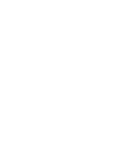 Shadowspec Umbrellas logo