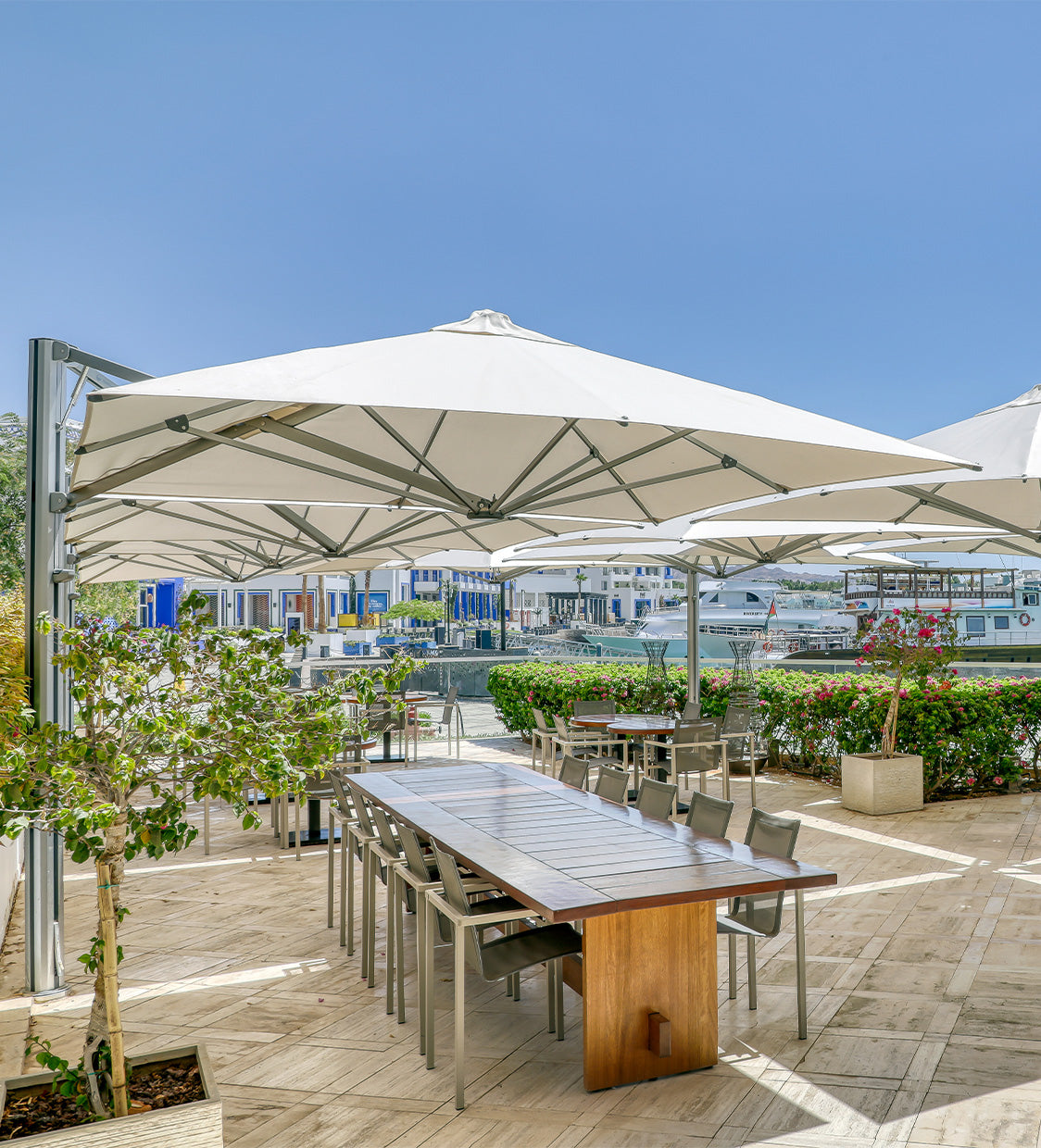 Hyatt Regency Aqaba Ayla: Shadowspec Unity™ pool umbrellas