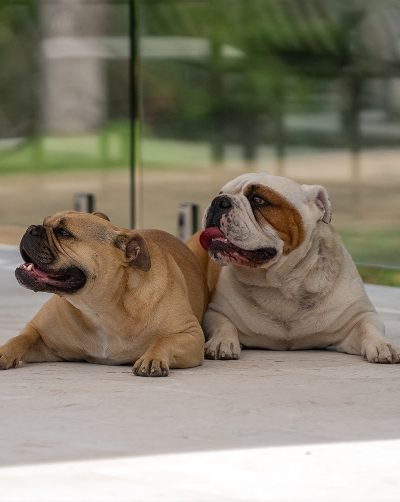 Do I need a shade sail or an umbrella for my space?