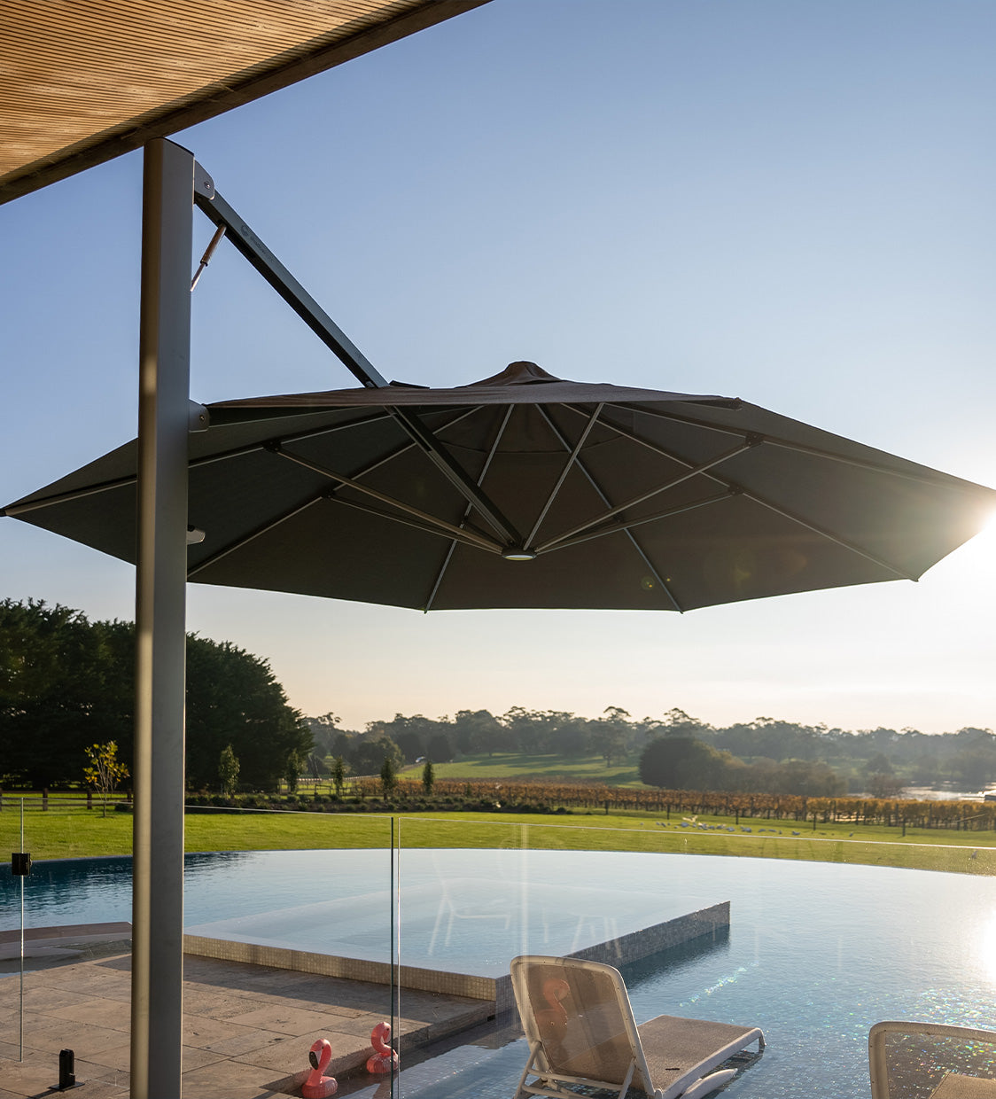 Why are cantilever umbrellas so popular?