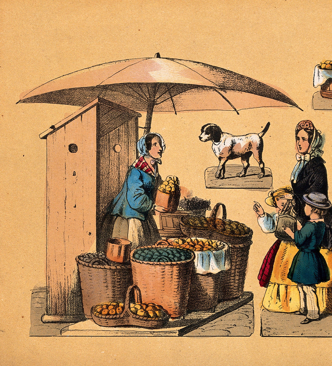 Brief history of the umbrella
