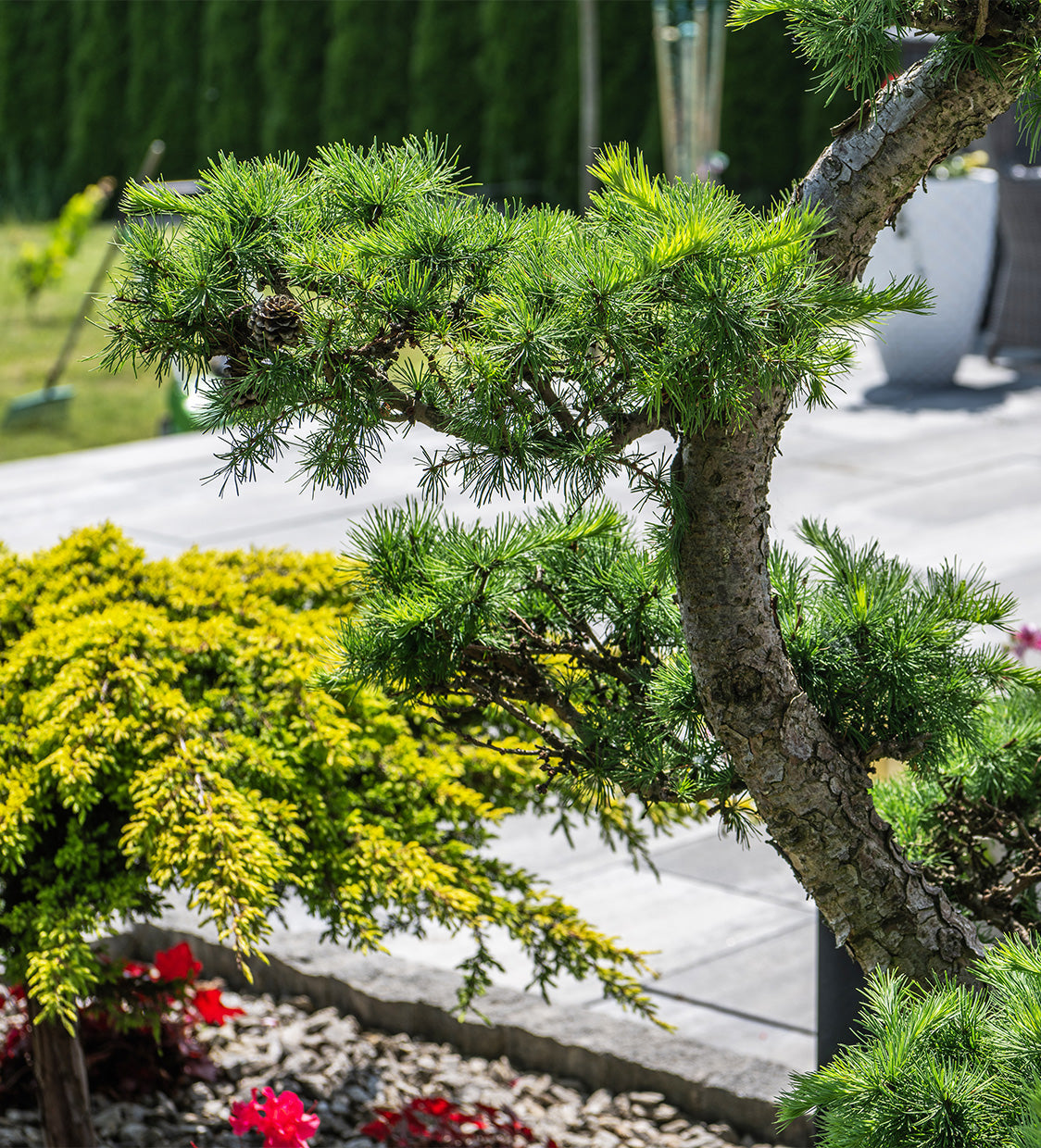 3 exterior garden design hacks experts use