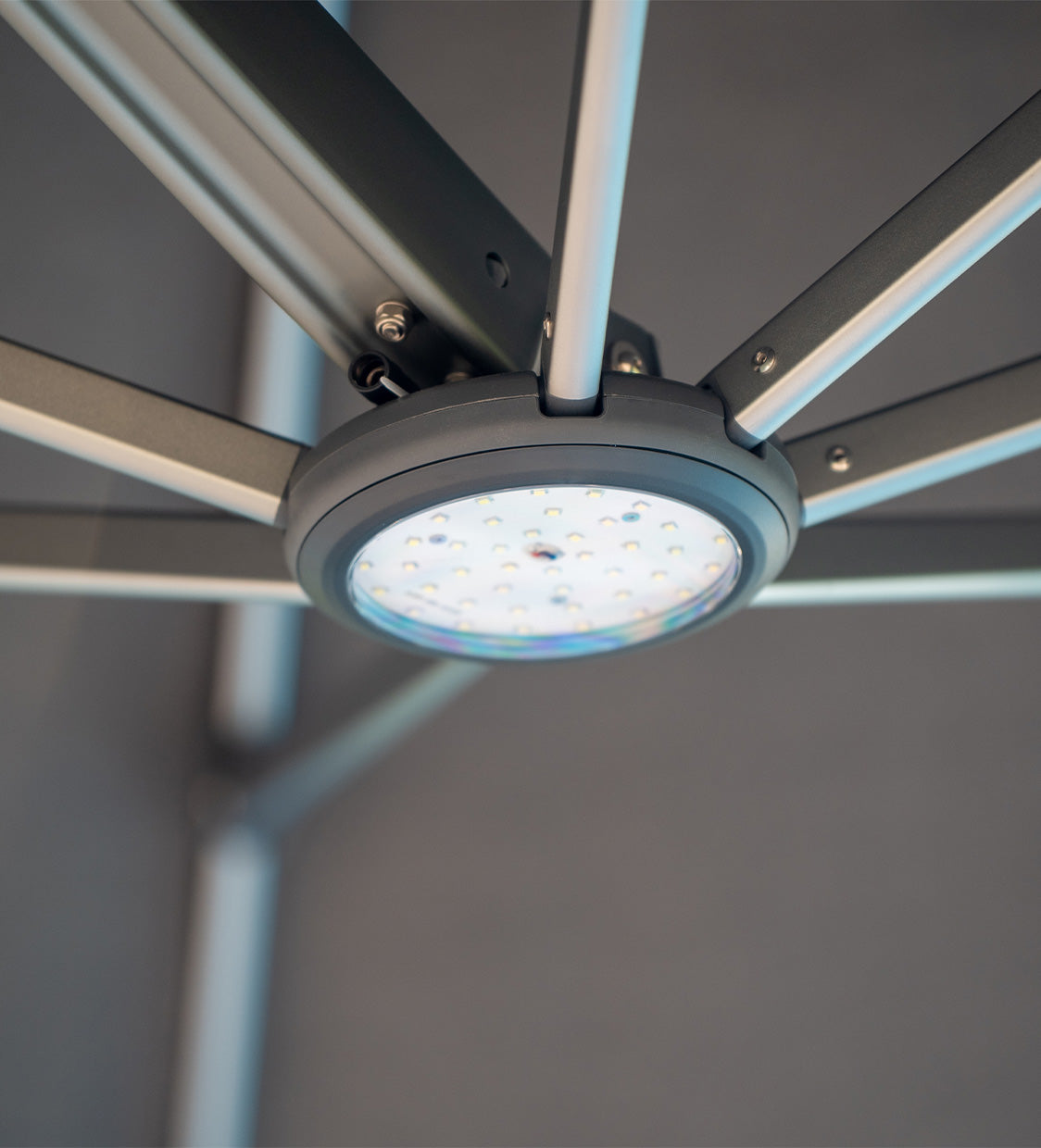 <p>Lights, Lights, Lights</p>