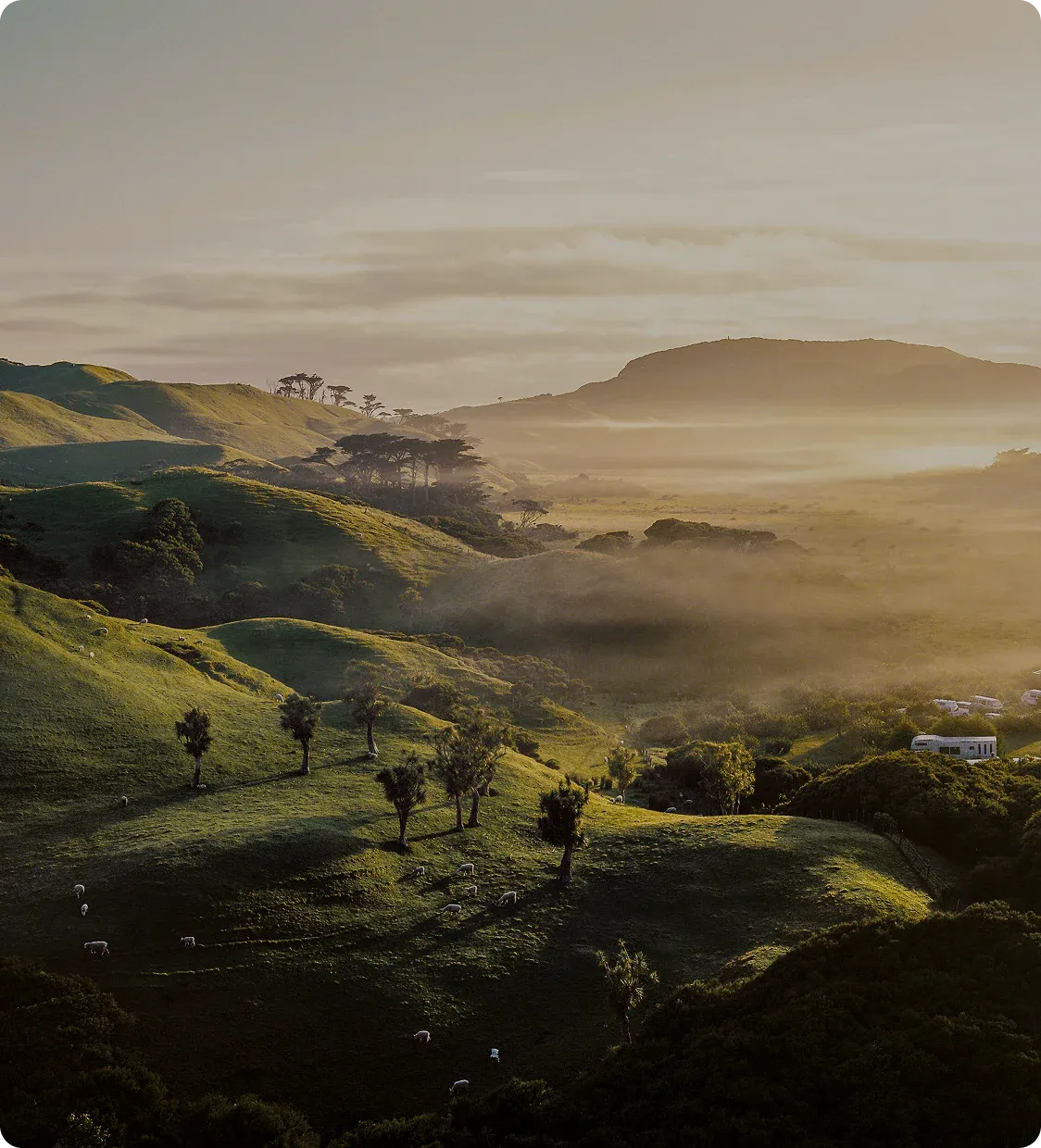 Designed in New Zealand